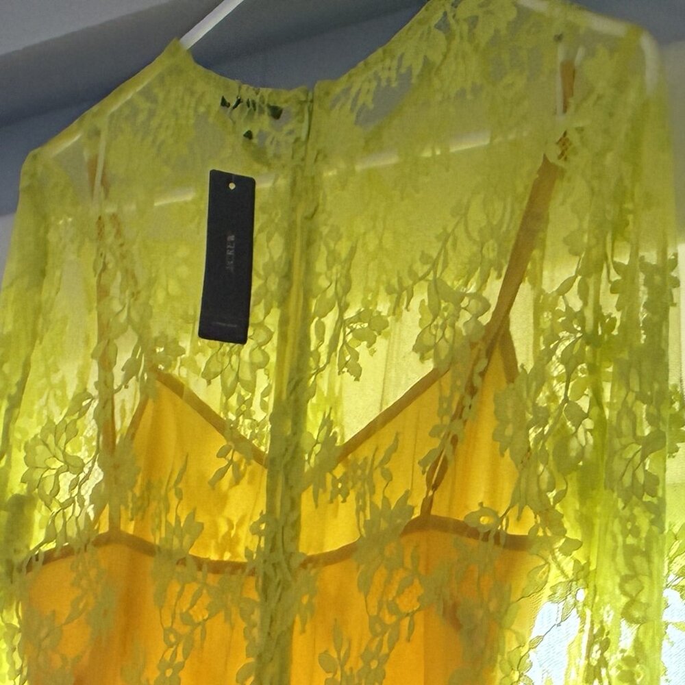 J Crew lemon yellow lace dress NWT - drop waist lined Size 4. - Picture 5 of 6